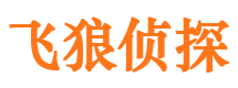 陕县调查公司